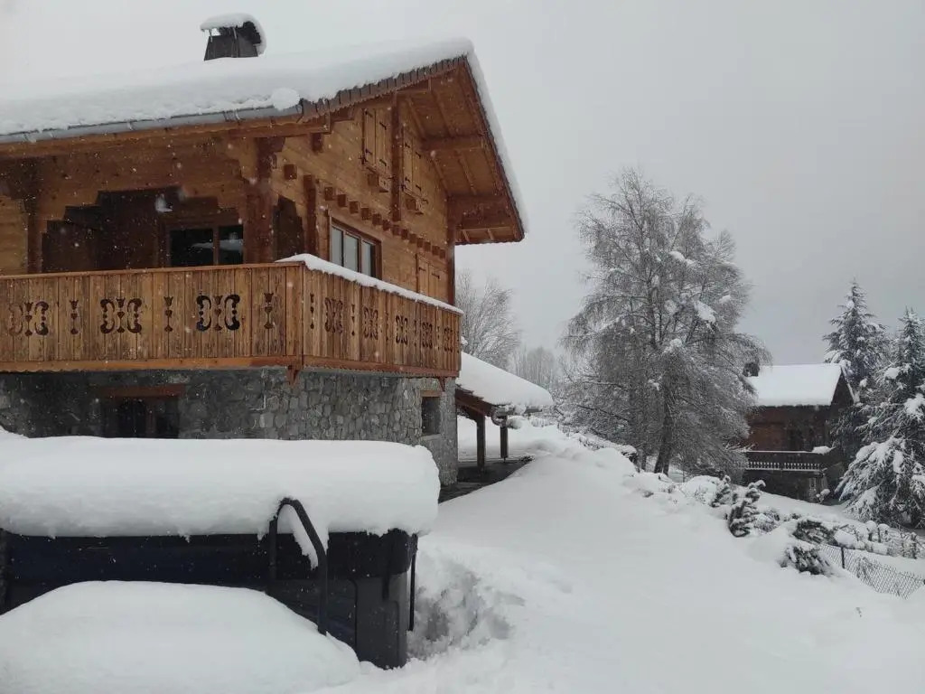 Chalet moderne avec jacuzzi, animaux admis, Morillon - FR-1-642-66