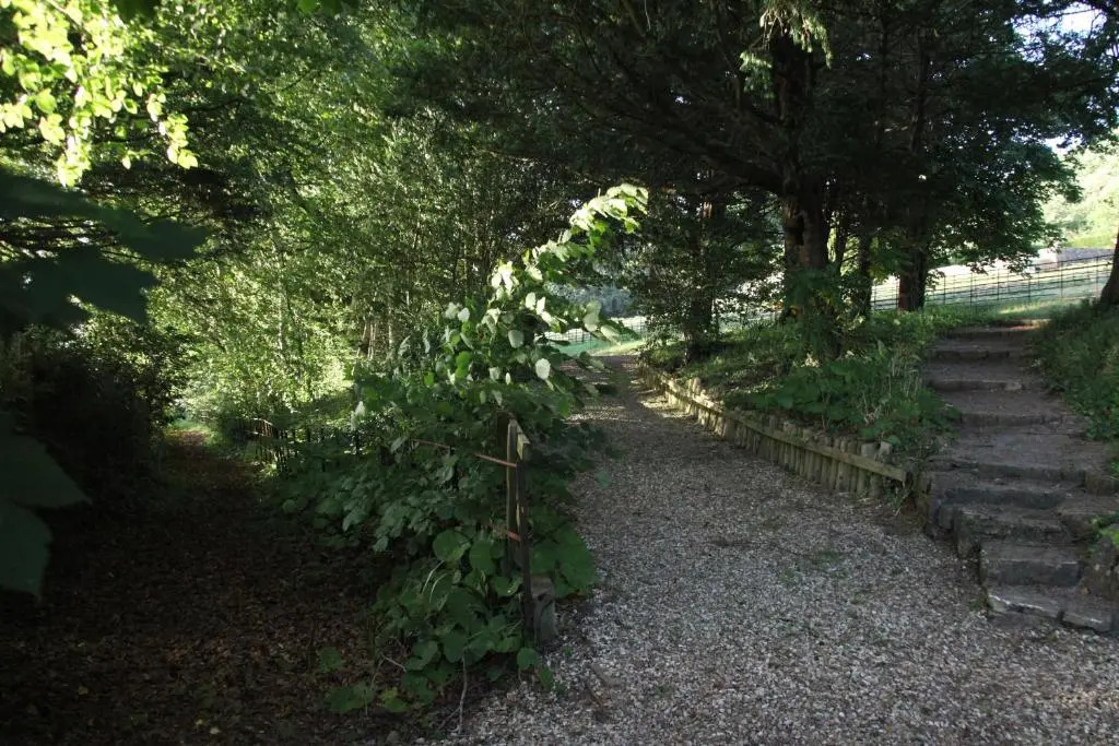Spacious home in Bath, nature and city