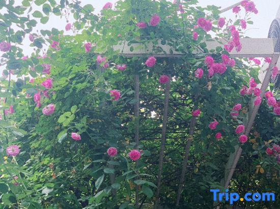 Yinshe Xianglin Homestay (Shanghai Hongqiao Airport Convention and Exhibition Center Branch)