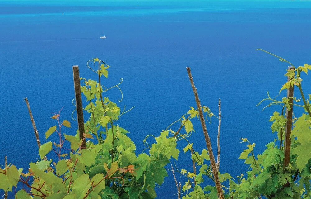 Amazing Home in Trstenik with Hot Tub, WiFi & 2 Bedrooms