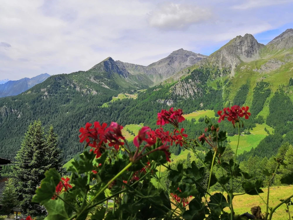 Rifugio Guide Frachey