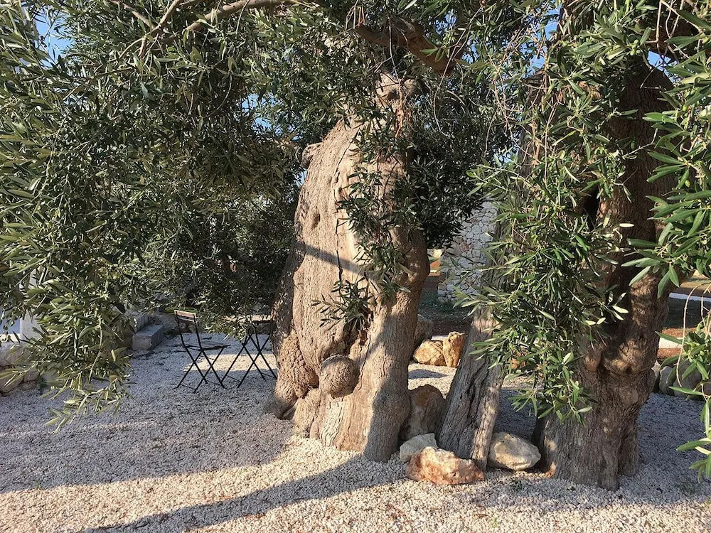 Masseria Sottomasi