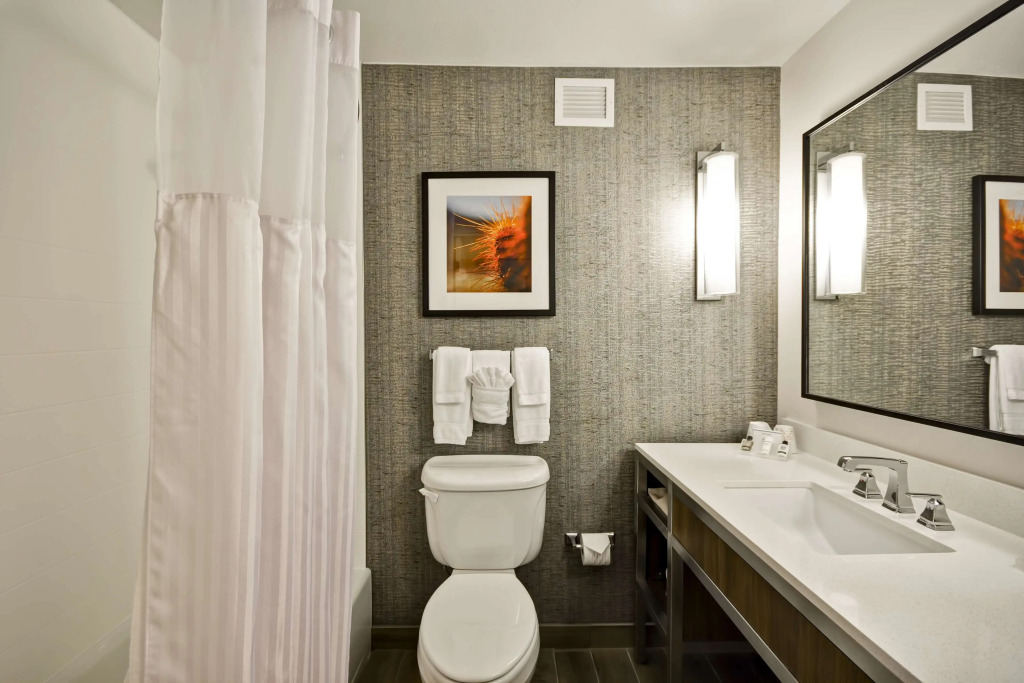 Hilton Garden Inn Austin Round Rock