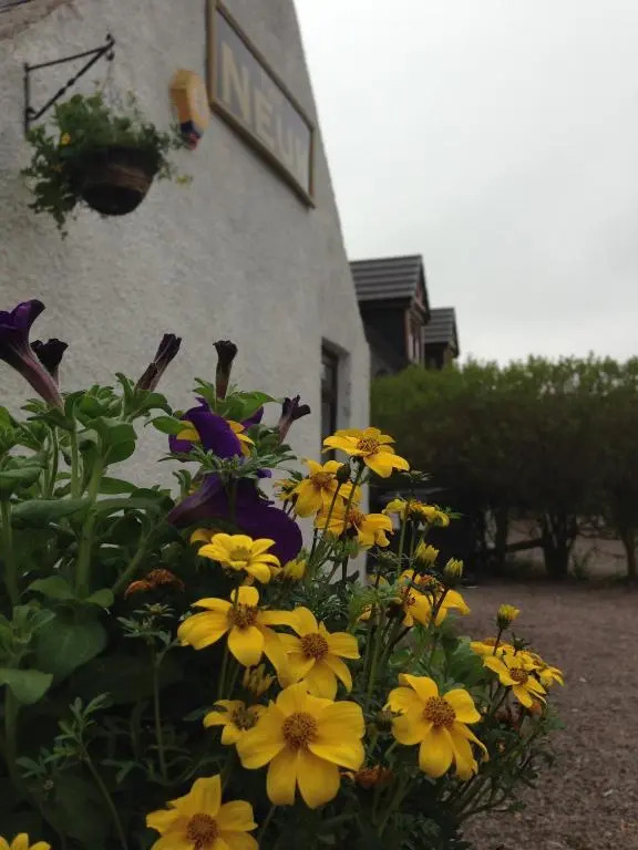 The Neuk