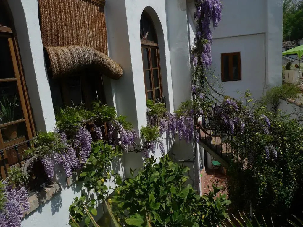 Alhambra Hill Apartments