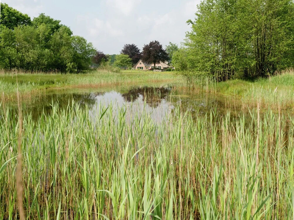 Peaceful Farmhouse in Emst near Forest