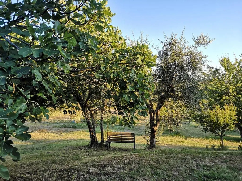 Agriturismo I Ciliegi Appartamento Ginestra