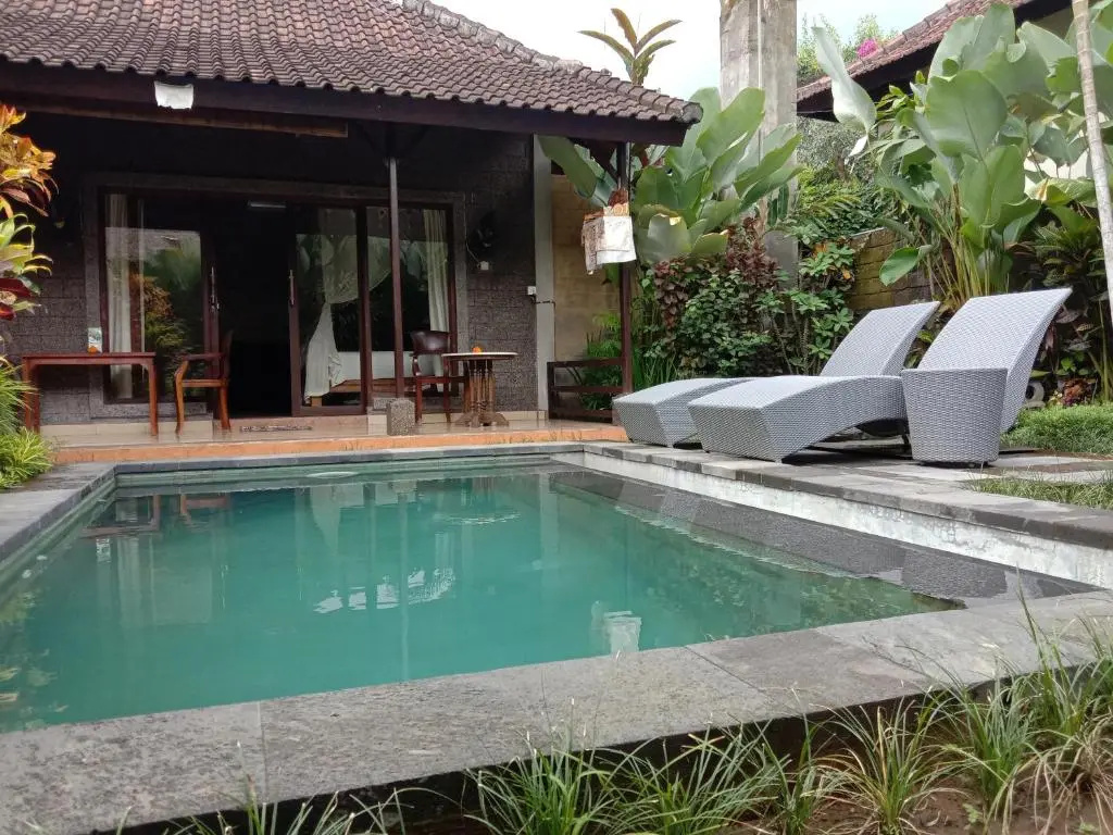 Dedik House
