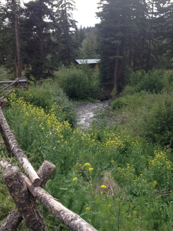 YD Guest Ranch