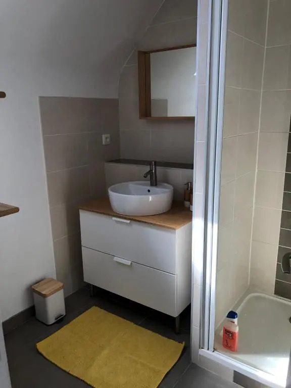 Appartement rénové en duplex à proximité du centre