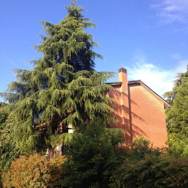 B&B Il Picchio