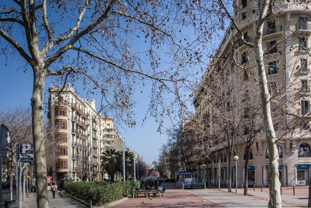 Apartamento Noemi