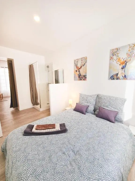 Le Valmy #4 - cosy studio - Grenoble