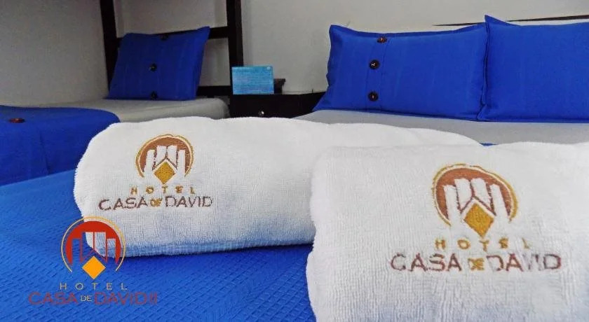 Hotel Casa de David