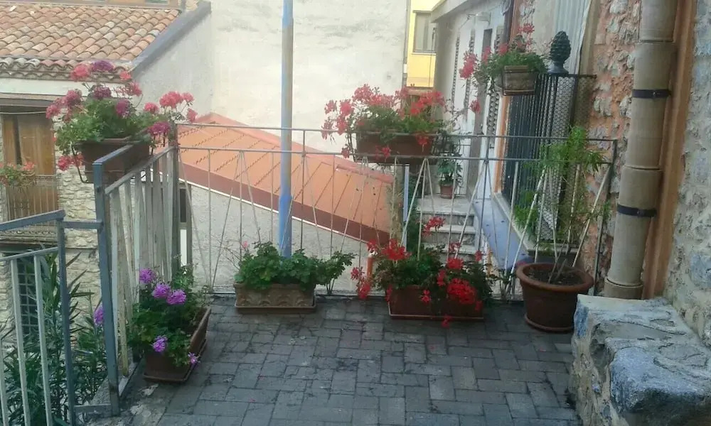 Bellavista 1