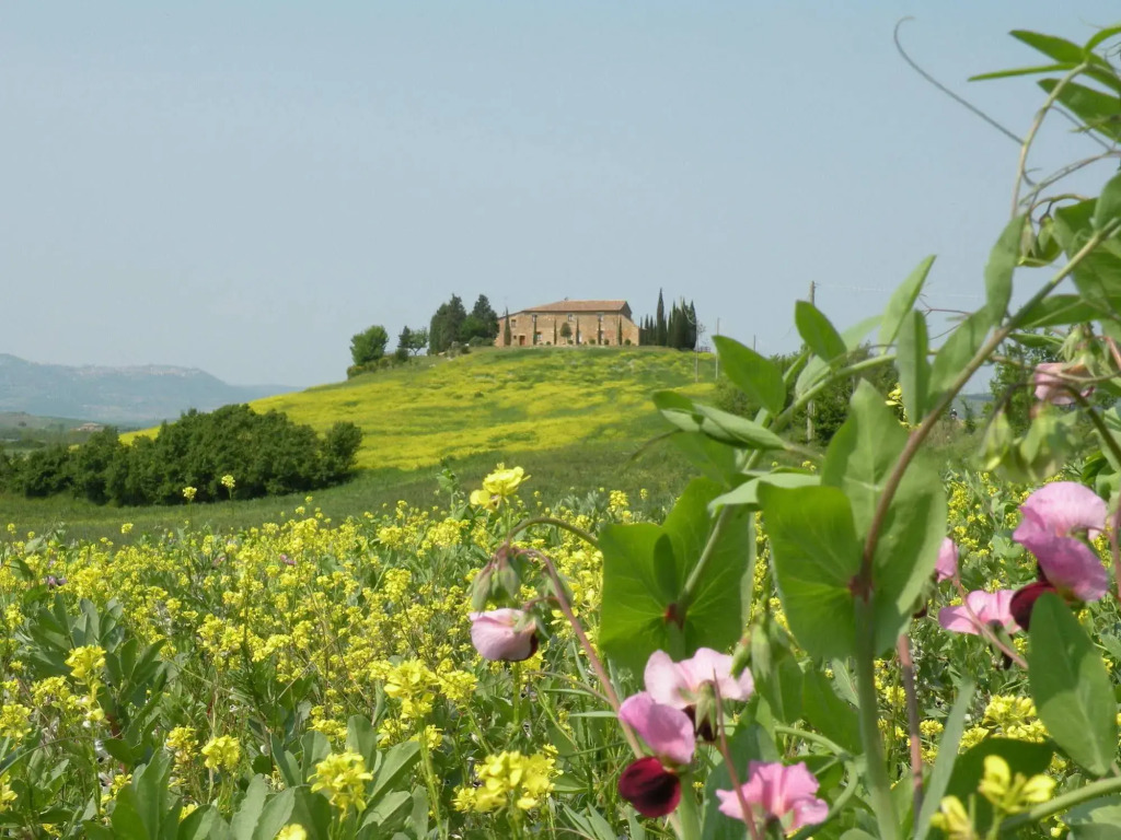 Agriturismo Bonello
