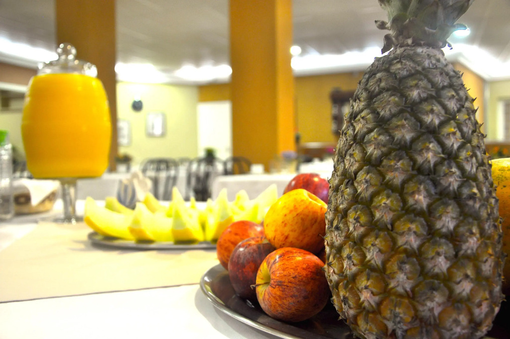 Hotel Platanus