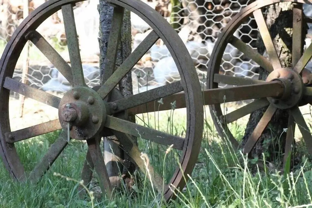 Cluana Azienda Agrituristica