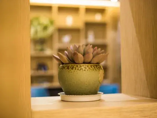 Shengyang Hotel