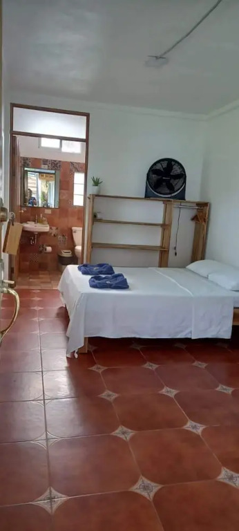 Hotel Pura Natura Beachfront Tortuguero