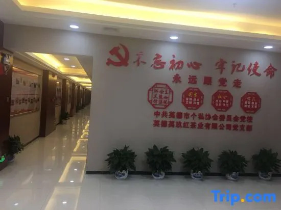 Yingjiuhong Black Tea Theme Hotel