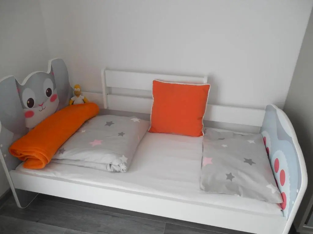 Apartament regim hotelier Băile Felix