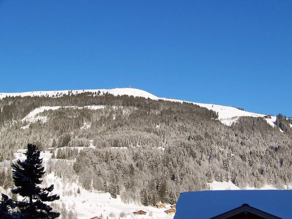 La Boule de Neige