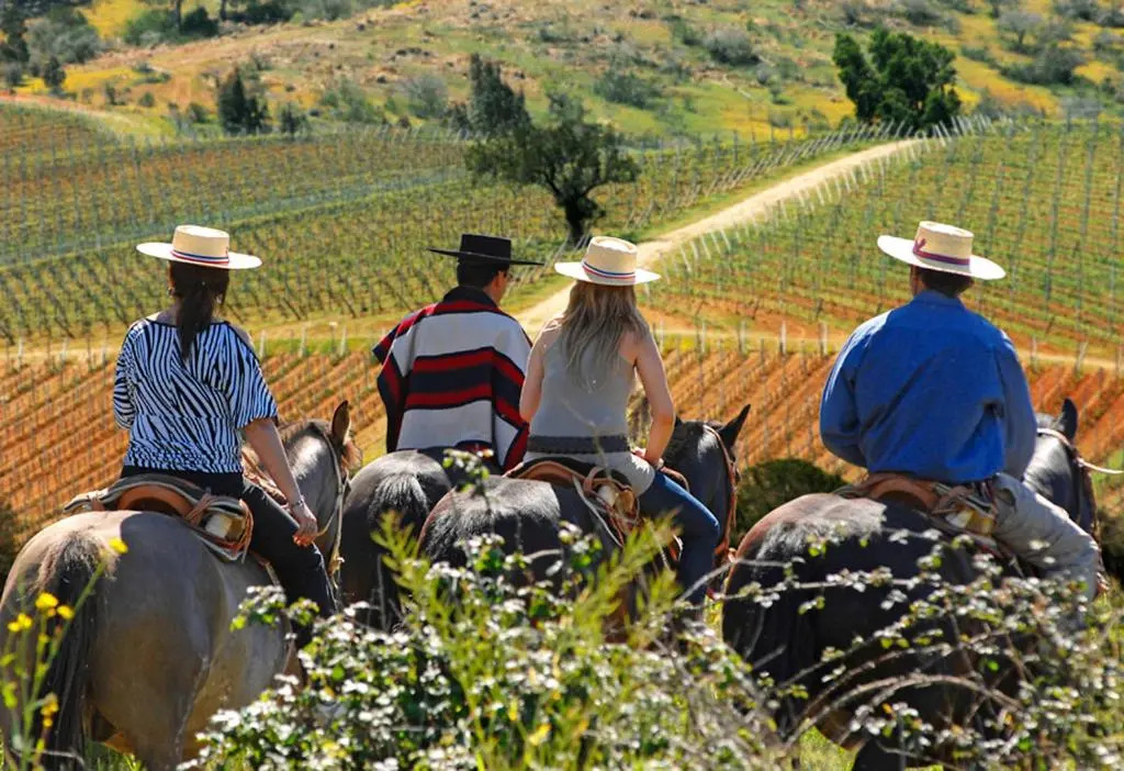 La Casona At Matetic Vineyards