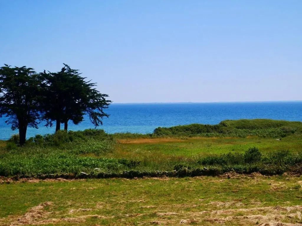 Appartement Saint-Pierre-Quiberon, 2 pièces, 5 personnes - FR-1-478-57