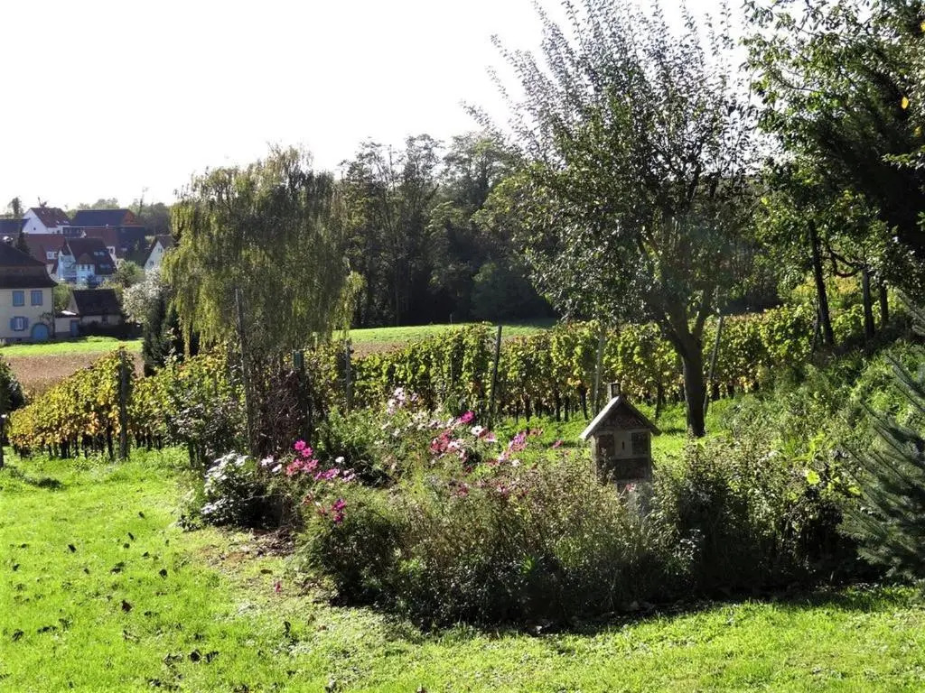 Zum Rebberg Ferienwohnungen