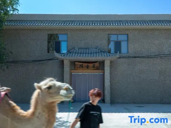 Dunhuang Xingchuige | Stargazing Themed Homestay