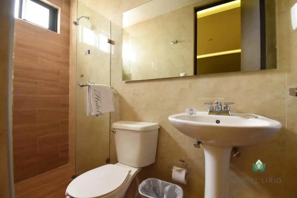 Hotel Lirio