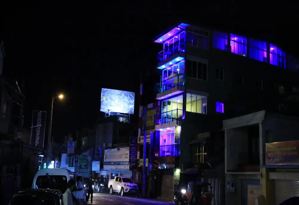 Kandy City Monkey