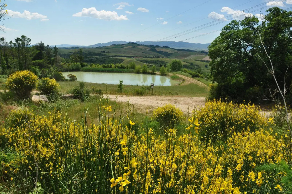 Agriturismo eco-bio Belmonte Vacanze
