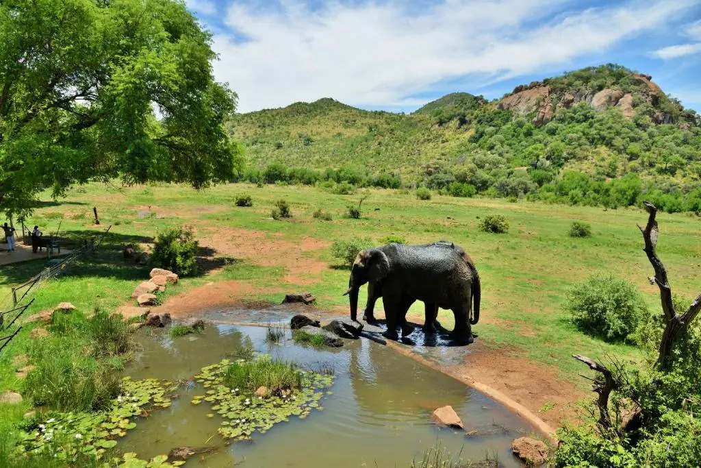 Kwa Maritane Bush Lodge Pilanesburg