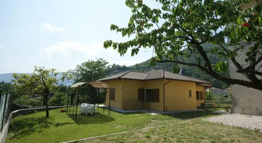 Ciclamino Bianco