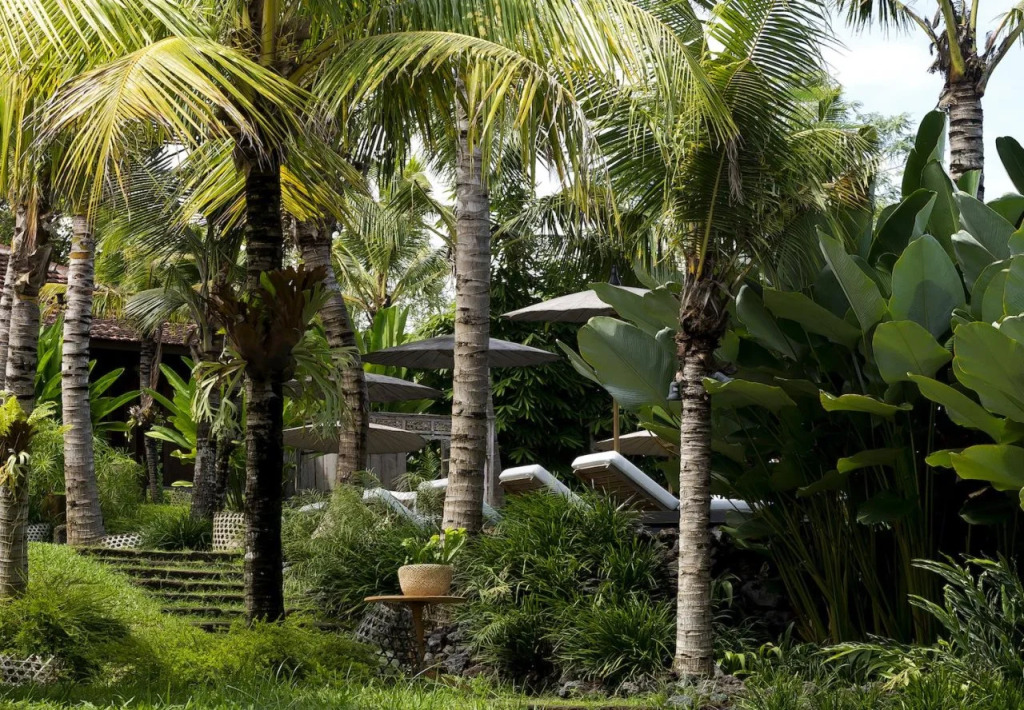 Kalapa Resort and Yoga retreat