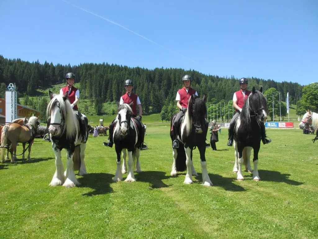 Reitercamp Ortnerhof