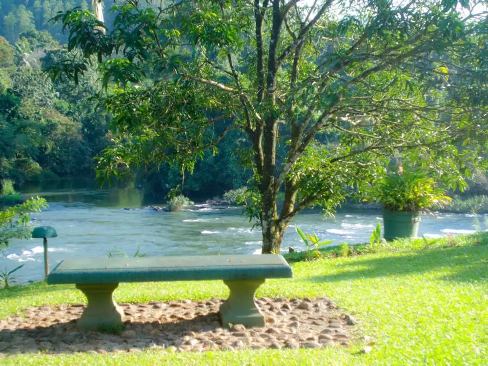Heritage Kithulgala Rest House - Historic Home to a Bird Sanctuary