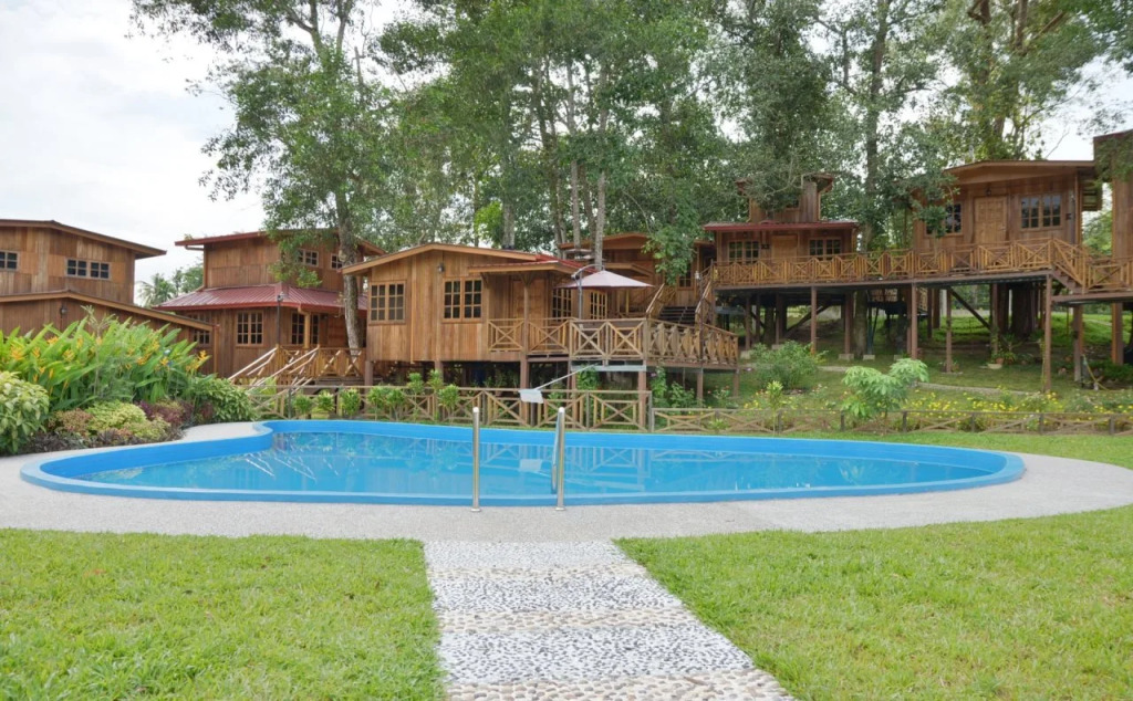 Borneo Tree House