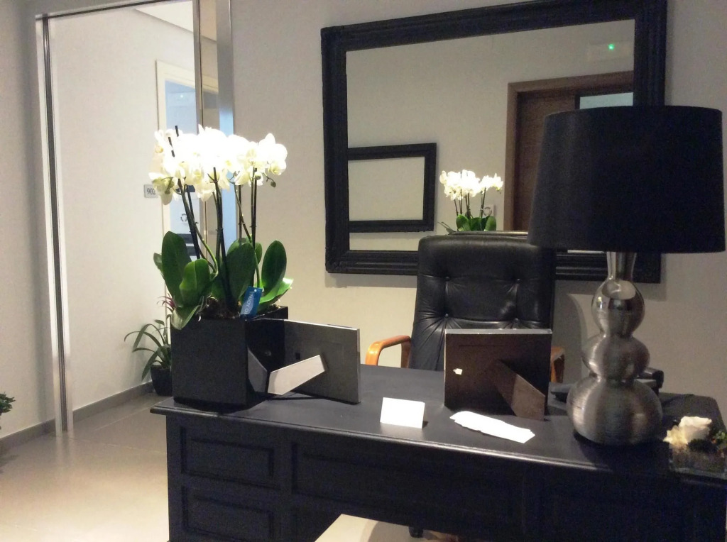 Barbarella Suite