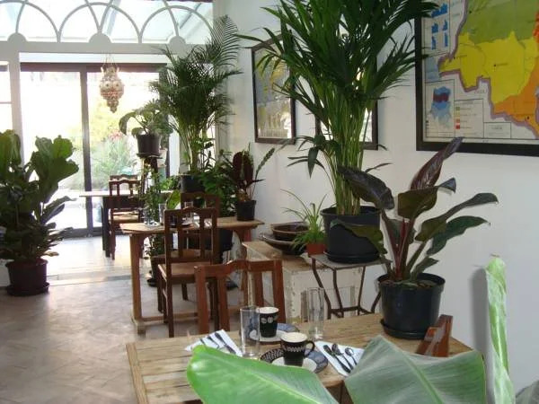 B&B De Witte Nijl