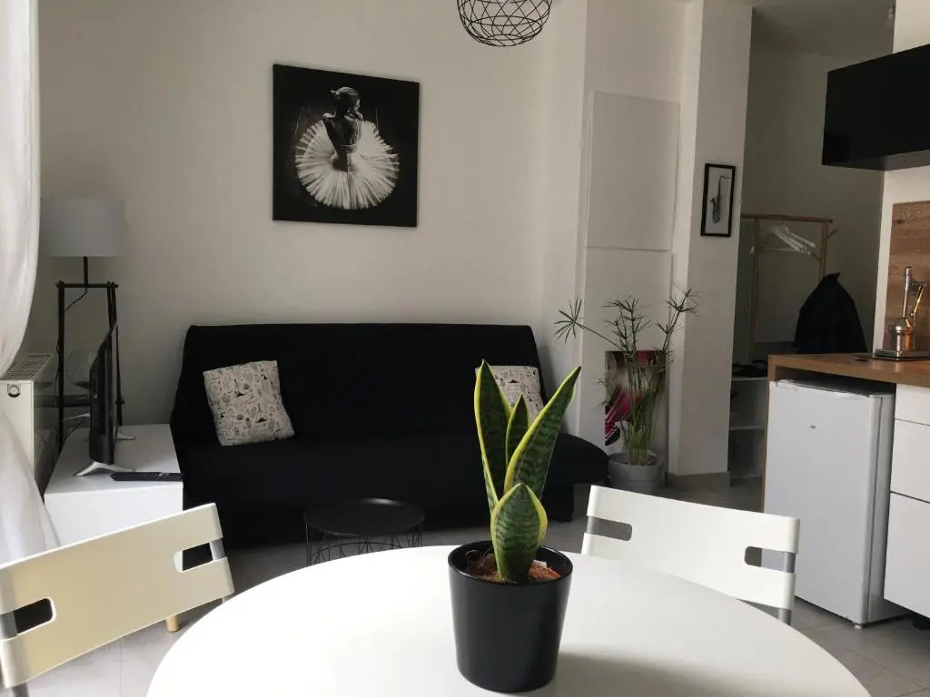 Appartement calme,lumineux ,coeur culturel deTOURS