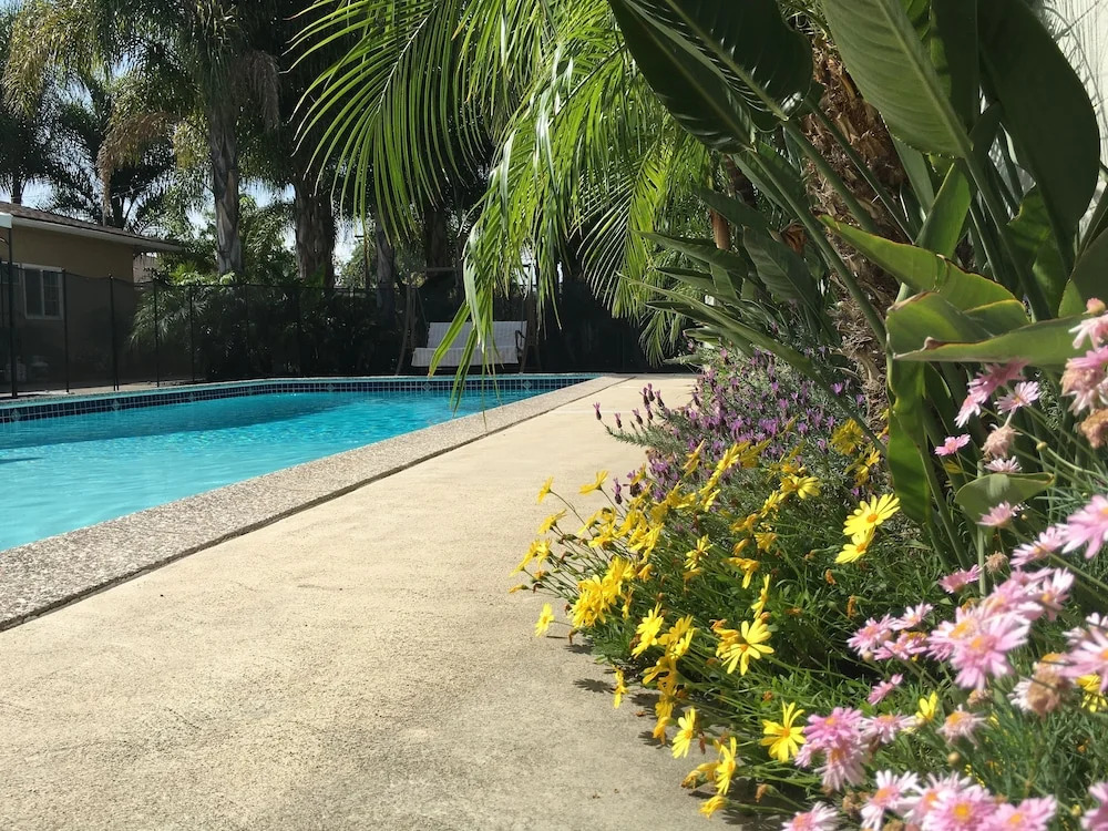 Palm Villa