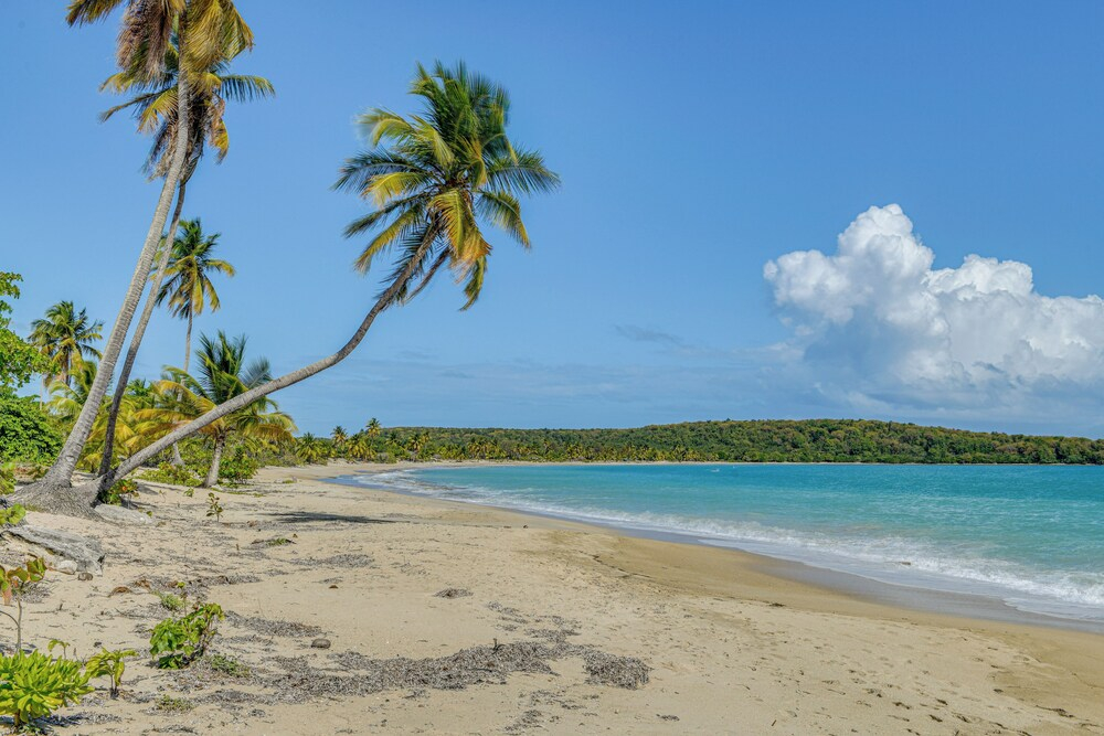 Resort-style Living Near Shore! Vieques Retreat