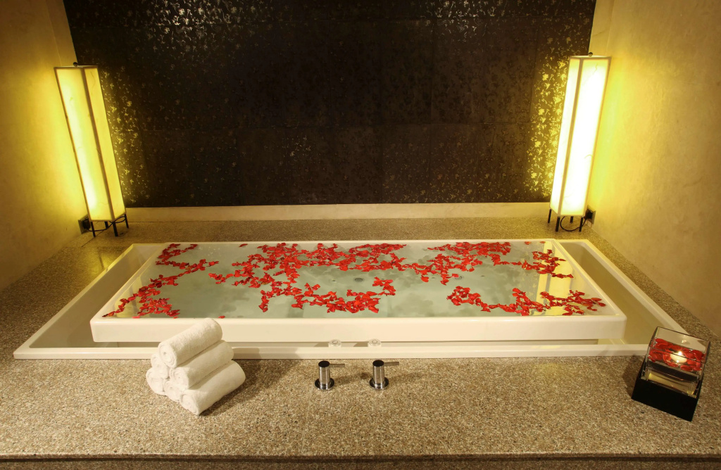 Radisson Blu Plaza Delhi Airport
