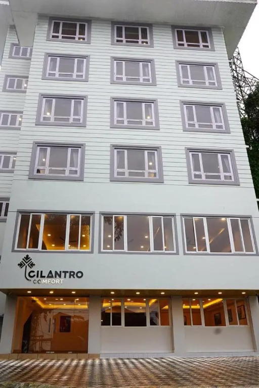 Cilantro Comfort
