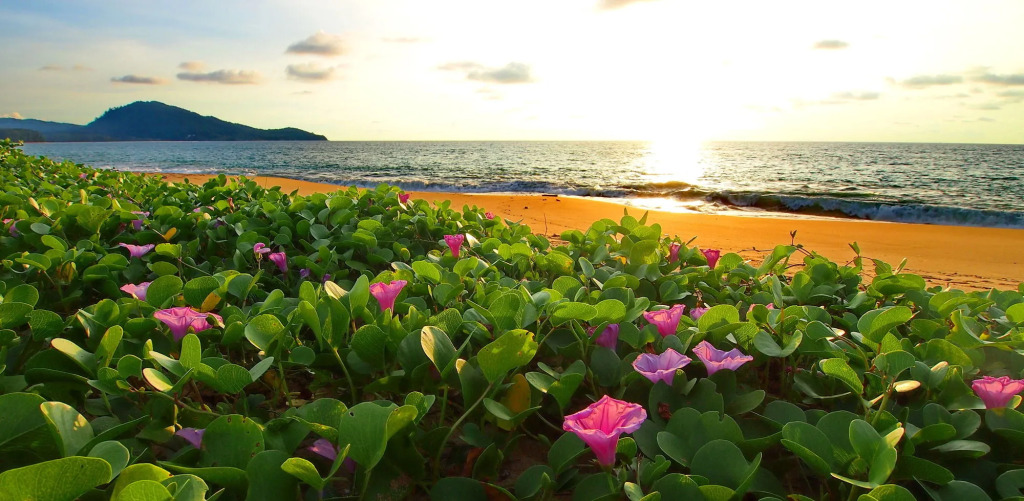 Ideo Phuket Hotel - Naiyang Beach