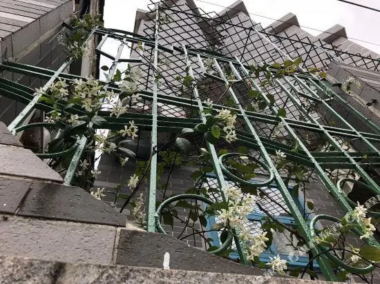 Changdao Youth Hostel