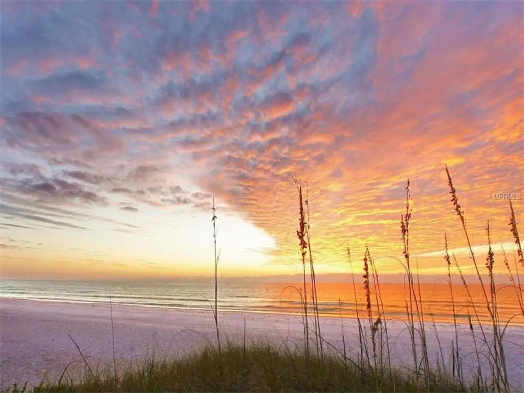 Shell Beach Home 209